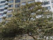 Alquilo Hermoso Y Amplio Departamento En San Isidro