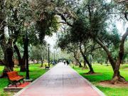 ALQUILO LINDO DPTO. 1DORM. AMOBLADO. COCINA, LAVANDERIA,...