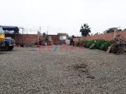 ALQUILO LOCAL COMERCIAL DE 1000M2 EN LURIN PANAMERICANA SUR