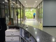 Alquilo local comercial e industrial 464m2 Boleíta Norte...