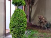 ALQUILO OFICINA/DEPARTAMENTO 1ER PISO + COCHERA SAN MIGUEL