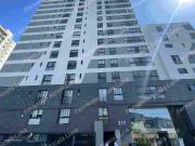 Alquilo San Miguel Estreno