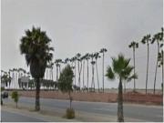 Alquilo Terreno Comercial en Av. Panamericana Sur, Lurin