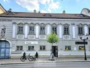 Altbauhit im Zentrum von Stockerau!