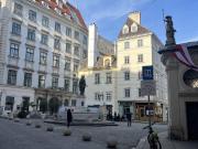 Altbaujuwel im Herzen des 1.Bezirkes, charmante 40m²...