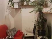 Altbauklassiker beim Kaiser Josef Platz – 2 Zimmer...