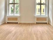 Altbauklassiker mit großer Dachterrasse im schönsten...