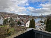Altbauwohnung mit direkter Sicht auf Rhein und Städtchen