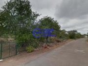 Alte Algarve 75167872