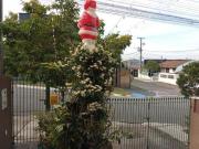 Alto Boqueirão Excelente localização ótimo sobrado com 3...