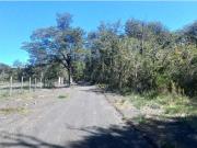 Alto Trancura 2
