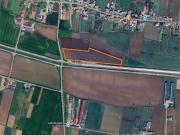 Altro in Vendita a Cologna Veneta Cologna Veneta