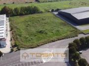 Altro in Vendita a Erbè