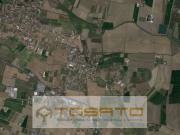 Altro in Vendita a Isola Rizza