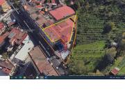 Altro non alimentare in Vendita a Napoli