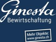 Altstadtwohnung zu vermieten Andere schöne Objekte