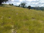 ALTZAYANCA TLAXCALA 20 HECTÁREAS