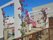 Alugo apartamento no citta dei fiori semi mobiliado