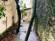 Alugo GalpÃ£o comercial 450 metros quadrados em Centro...