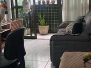 Alugo quarto mobiliado em Boa Viagem