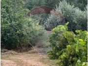 Alvaiázere Alvaiázere 95902021