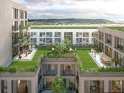 Am Grünmarkt I Neubauprojekt I Linz Urfahr