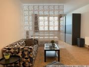 Am Zentrum: Mod. möbl großzüg. Appartment mit...