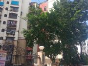 Amar Om Vasudev CHS 2 Bedroom 702 Sq. Ft. Apartment in...