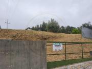 Amarante Amarante 92694173