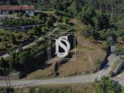 Amarante Porto 94570975