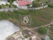 Amarante Porto 95386407