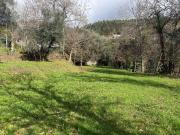 Amares Amares 99192496