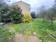 Amateur de Verdure ! Amateur de Verdure !