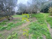 Amateur de Verdure ! 75m² Villeneuve lès Béziers