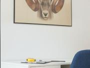 Amazing & fashionable loft Kreuzberg, Berlin Amsterdam...