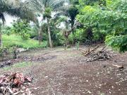 AMAZING PRICE! 2 x 1143sqm Titled Lots For Sale, Amadeo,...