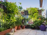 Amazing & quiet apartment in Prenzlauer Berg, Berlin,...