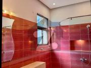 American Style 2 Kanal Luxury House For Rent E 7...