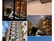 Amit Colori Phase II 2 Bedroom 496 Sq. Ft. Apartment in...