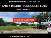 Amiya Tandem Lot For Sale