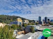 Amoblado en el mejor sector del centro de Concepción