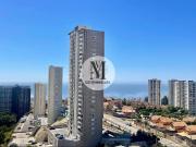 Amoblado viña del mar marzo a diciembre 2d 153556