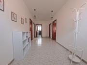 Ampia casa semindipendente arredata € 900,00