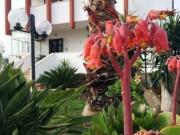 AMPIA VILLA CON GIARDINO PRIVATO VIA VELA BARI