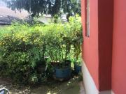 Ampio e luminoso appartamento