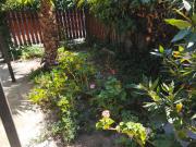 Amplia casa 14 Avda Vic Mackenna 3D/1B, apta Empresa de...