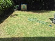 Amplia Casa en Renta con Jardín en Tecamachalco