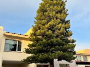 Amplia casa en renta en La Plazuela Amplia casa en renta en La Plazuela