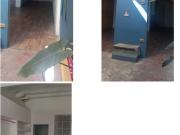 Amplia casa local en renta en zona absolutamente...