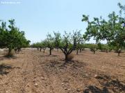 Amplia Parcela de 877 m² en Urbanización El Llano de...